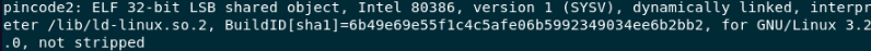 File Info